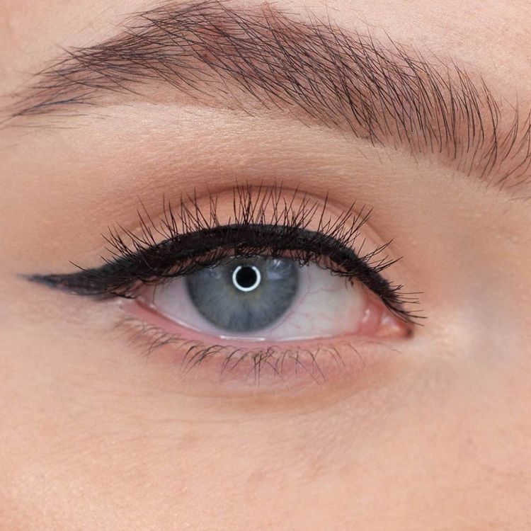 Ardell Magnetic Lashes