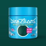 Directions Semi Permanent Hair Colour
