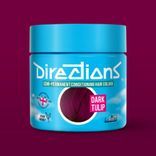 Directions Semi Permanent Hair Colour - Wisteria (Pack Of 4)