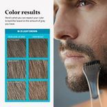 Just For Men Moustache & Beard Color