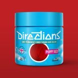 Directions Semi Permanent Hair Colour - Wisteria