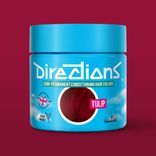 Directions Semi Permanent Hair Colour - Wisteria
